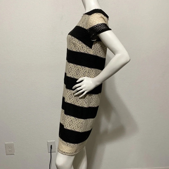 Maggy London Cream Black Striped Lace Sheath Dress - Picture 4 of 8